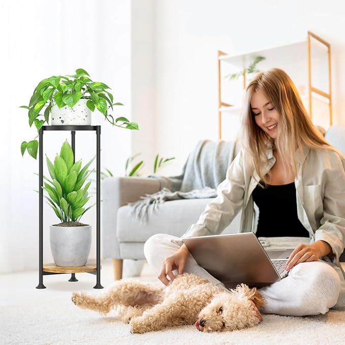 LASZOLA 2 Tier Black Plant Stand Indoor for Large Tall Heavy Duty Flower Planter, Metal Vertical Multi Level Rack for Narrow Floor Corner, Sturdy Round Holder Organizer, Modern, Mid Century, Farmhouse