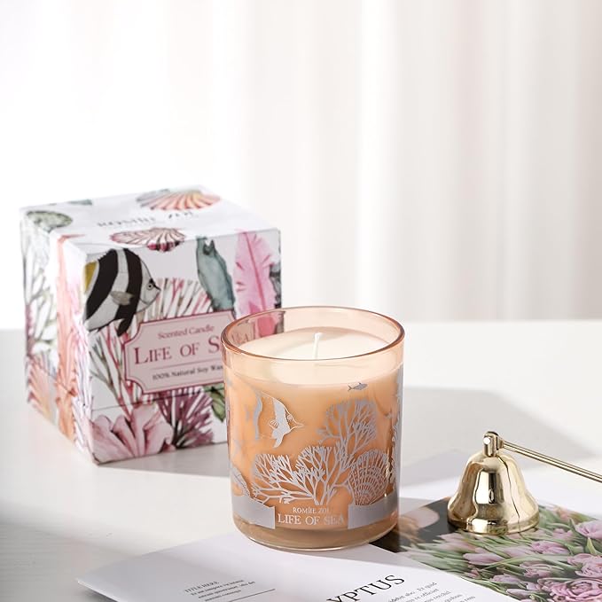 ROMIIE ZOI Scented Candle - Life of Sea- 6oz Aromatherapy Soy Wax Jar Candle for Home, Gifts for Women - 170g