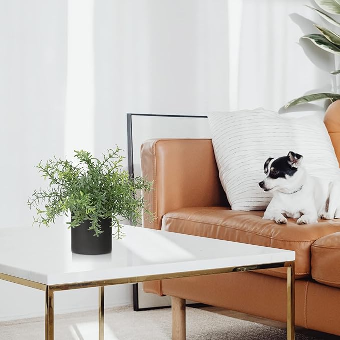 3 Pack Small Fake Plants for Shelf Decor Accents with Ceramic Pot Artificial Potted Plants for Rustic Farmhouse Decor Faux Plants Indoor Fake Potted Plants Artificial for Home Office Bookshelf Decor