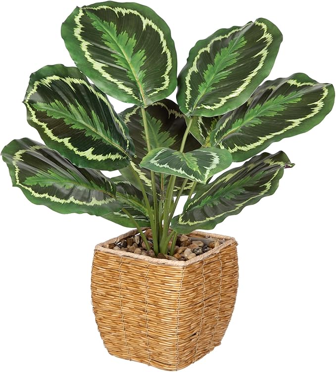 Briful Fake Plants Potted Calathea Medallion Artificial Plants Indoor Realistic Greenery Faux Plants in Square Plastic Rattan Baskets for Home Decor Farmhouse Office Weddings