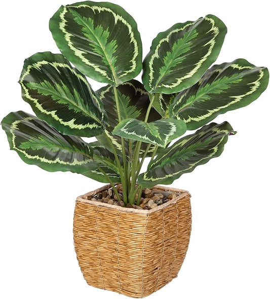 Briful Fake Plants Potted Calathea Medallion Artificial Plants Indoor Realistic Greenery Faux Plants in Square Plastic Rattan Baskets for Home Decor Farmhouse Office Weddings