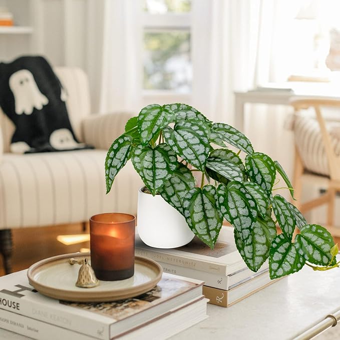 DILATATA Fake Plants Indoor 8 Inch Artificial Watermelon Plant in White Ceramic Pot - Faux Potted Pothos Plant for Home Aesthetic Decor Living Room Shelf Office