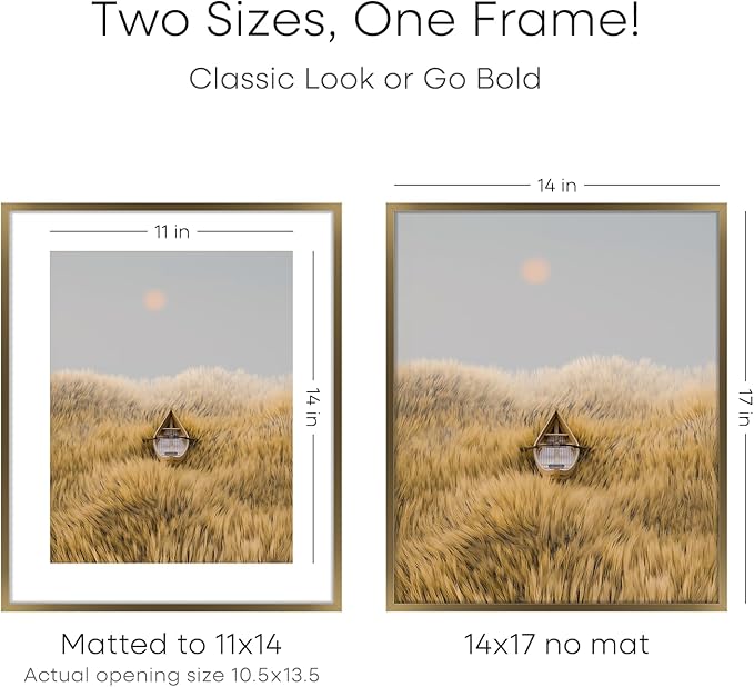 Homeforia 14x17 Picture Frame Bronze, High End Metal 14x17 Brass Poster Frames with Mat 11x14 for Photo, 14 x 17 Frame Matted to 11 by 14 Print, 17x14 Hanging Frame, Tempered Glass, Wall Kit, Set of 3