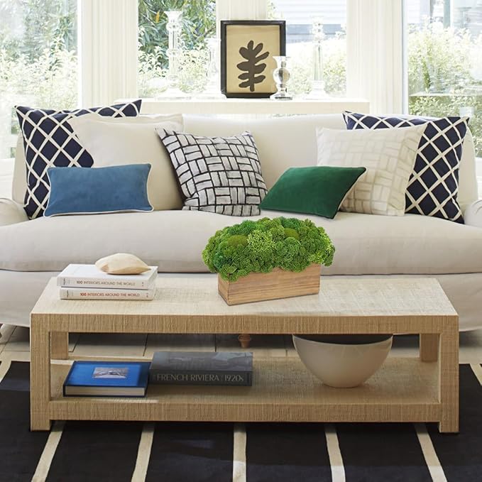 Briful Succulent Plants Artificial Fake Succulent Arrangement in Wooden Planter Pot Faux Plants Indoor for Home Office Dining Table Kitchen Shelf Decor