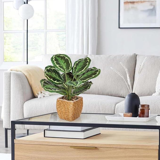 Briful Fake Plants Potted Calathea Medallion Artificial Plants Indoor Realistic Greenery Faux Plants in Square Plastic Rattan Baskets for Home Decor Farmhouse Office Weddings