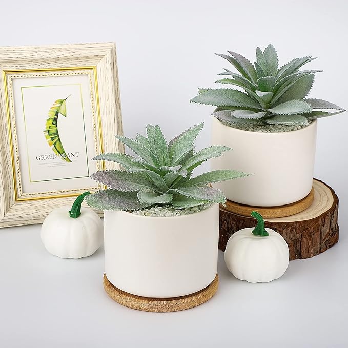 Hopewood Artificial Succulents Plant, Faux Agave Succulent Plant in Ceramic Pots with Bamboo Tray, Fake Potted Plants for Office Desk Living Room Decor(Set of 2)