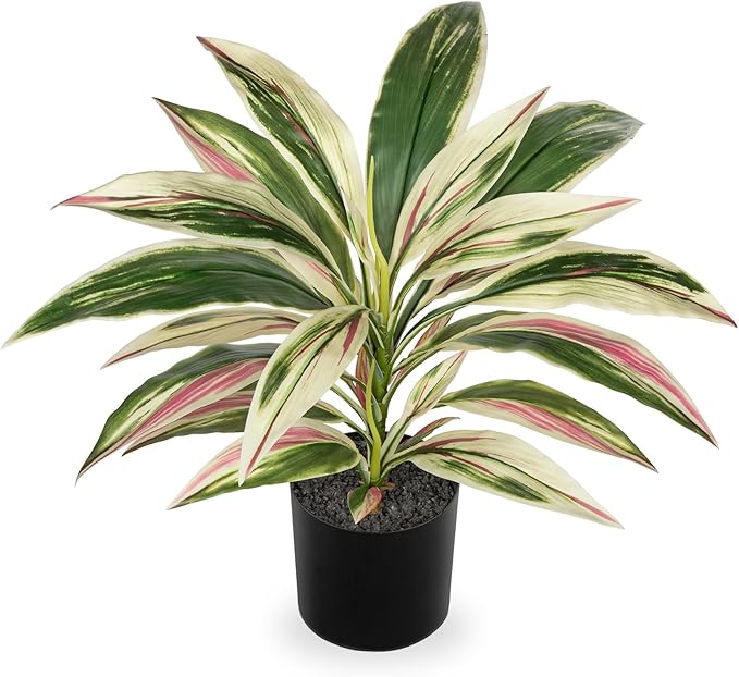 Artificial Plants Indoor with Pot, 18" Fake Potted Plants Medium Artificial Dracaena Plant in Black Pot Faux Tropical Plants for Bathroom Living Room Office Desk Shelf Decor