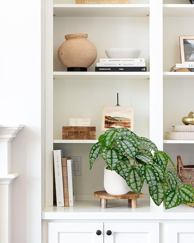 DILATATA Fake Plants Indoor 8 Inch Artificial Watermelon Plant in White Ceramic Pot - Faux Potted Pothos Plant for Home Aesthetic Decor Living Room Shelf Office