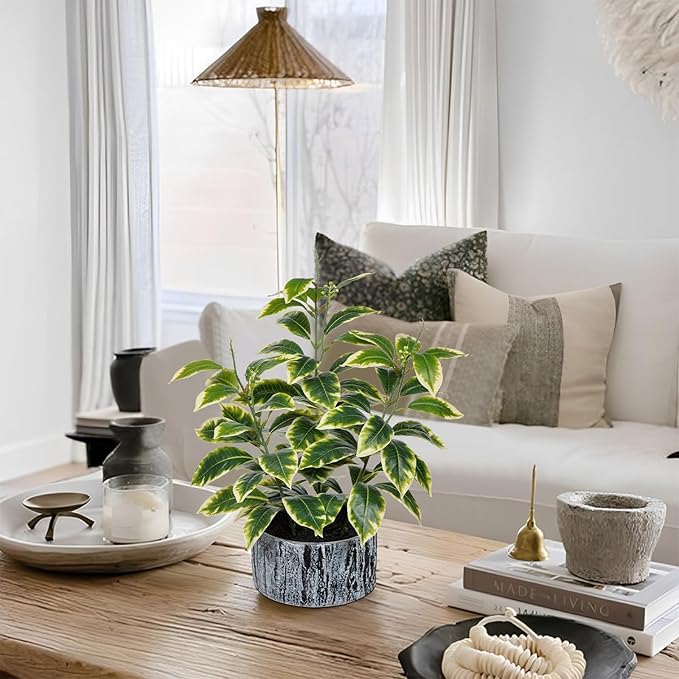 Artificial Plants Decor Greenery Fake Ficus White-edged Leaf with Seeds Indoor Potted 14" Fake Plant in Rustic Black Ceramic Planter for Farmhouse Room Bathroom Bedroom Kitchen Office Table Desk Decor