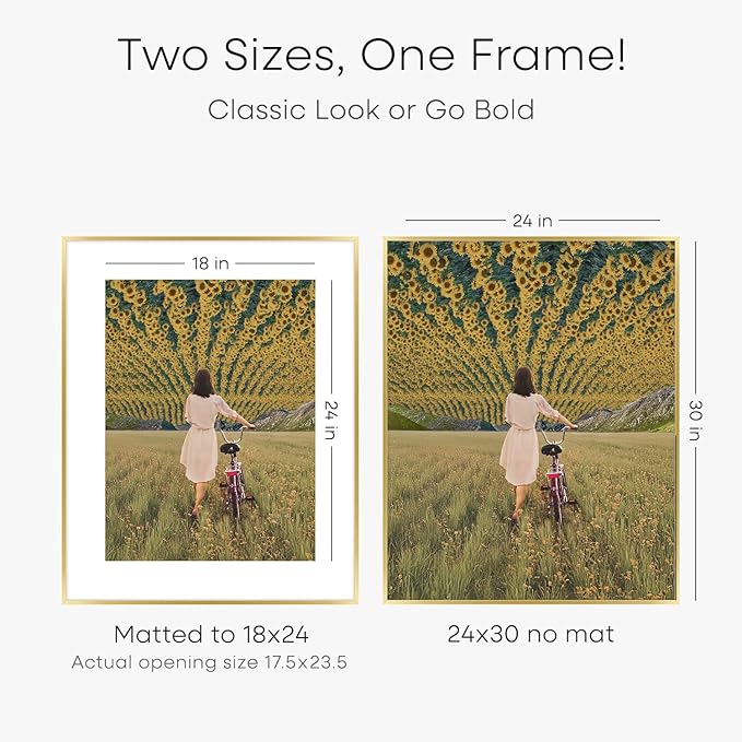 Homeforia 24x30 Picture Frame Gold, High End Metal 24 x 30 Poster Frames with 18 by 24 Mat Opening, 24x30 Gold Photo Frame Matted to 18x24 Print, 30x24 Large Frames, Tempered Glass, Wall Kit, Set of 3