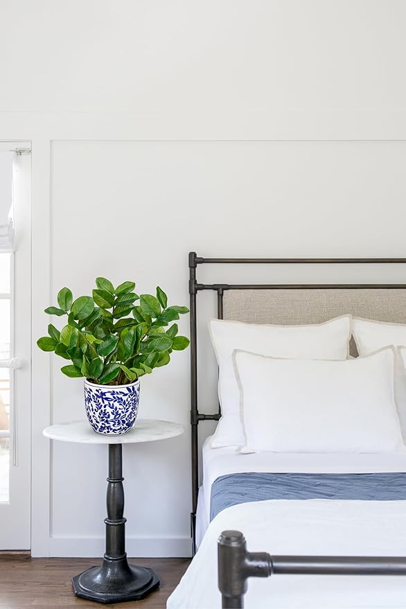 Briful Faux Plants Indoor 15.7in Fake ZZ Silk Plant in Blue and White Ceramic Pot Realistic Artificial Tropical Plant for Home Office Room Kitchen Shelf Decor