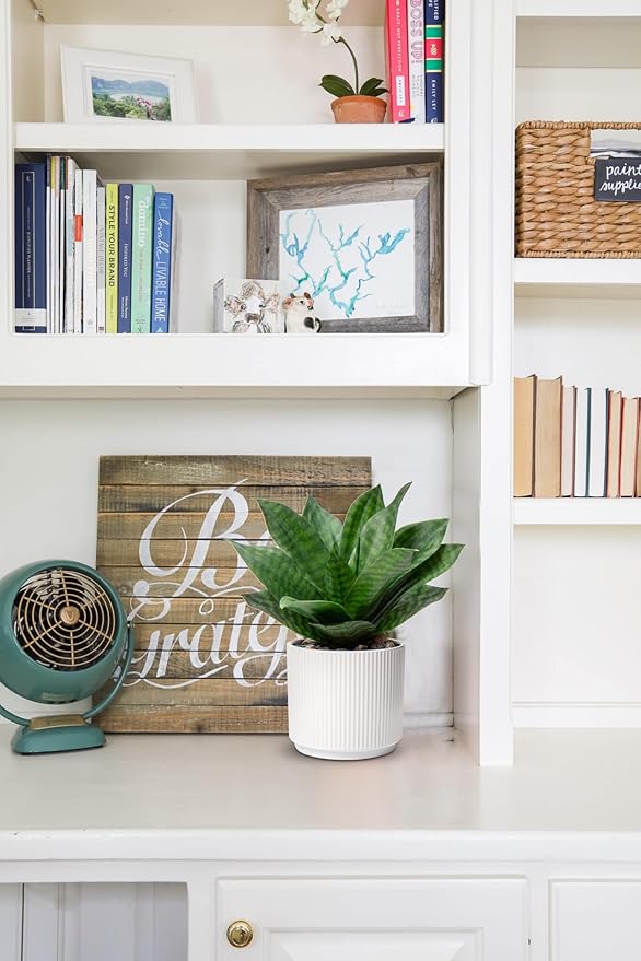 Artificial Agave Succulent Plants Faux Snake Plant Fake Succulent Agave Plant Potted in White Pot Succulent Aloe Plant for Desk Modern Office Living Room Table Shelf Home Indoor Outdoor Decor