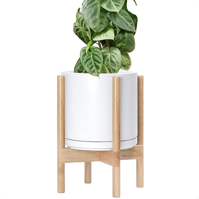 D'vine Dev Ceramic Planter with Natural Stand - 10 Inch Modern Round Flower Pot with Wood Planter Holder, White, 55-B-K-1