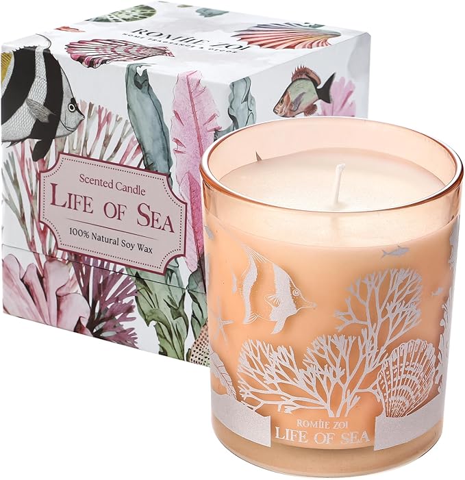 ROMIIE ZOI Scented Candle - Life of Sea- 6oz Aromatherapy Soy Wax Jar Candle for Home, Gifts for Women - 170g