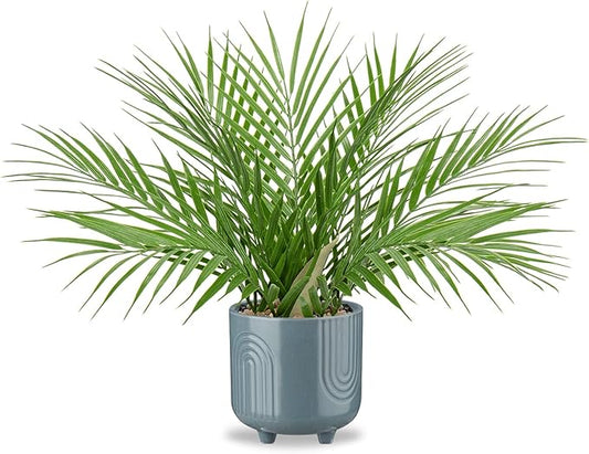 Hollyone Large Artificial Potted Plants Fake Palm Plants 16" Faux Green Plant Tropical Palm Tree in Blue Ceramic Pots for Home Room Office House Indoor Decoration
