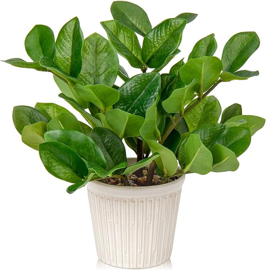 Briful Fake Plants 12'' Artificial ZZ Plants in Ceramic Pot Faux Zamioculcas Potted Silk Plants for Home Living Room Office Desk Decor Bedroom Aesthetic(1PACK)