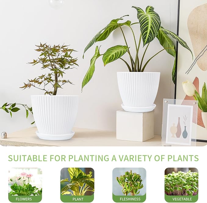 Plant Pots Indoor with Saucers & Drainage - 6 Pack Flower Pots - Plastic Planters for Indoor Planter - 7.5/6.6/5.8/5.0/4.3/3.5 inches Sizes for All Different Types of Plants - White
