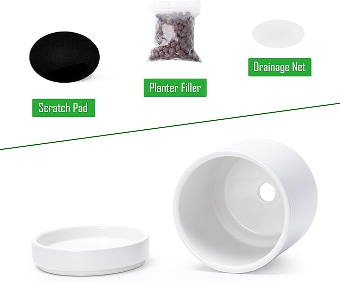 D'vine Dev Set of 4 Small Ceramic Plant Pots, 3.5 Inch Succulent Planter Pot for Plants with Drainage Hole and Saucer, White, 94-X-A-1