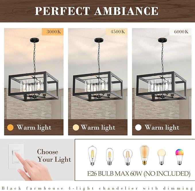 4-Light Black Chandelier, 19" Farmhouse Chandeliers Light Fixture with Glass Shade Lighting Fixtures Modern Ceiling Pendant Lamp for Dining Room Kitchen Island Entrance Bedroom Living Room