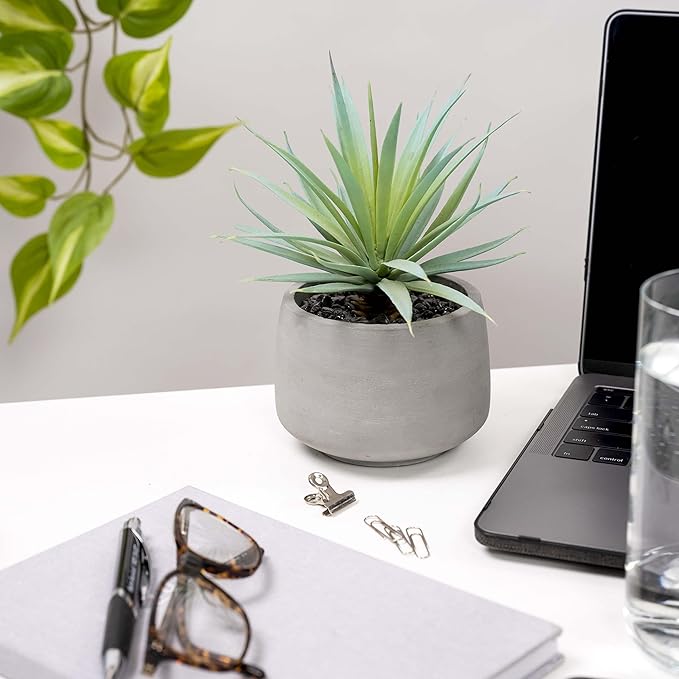 Kurrajong Farmhouse Artificial Plant | Fake Plant | Artificial Succulent in Pot | Fake Succulent | Faux Plant Indoor | Faux Greenery Desk Decor