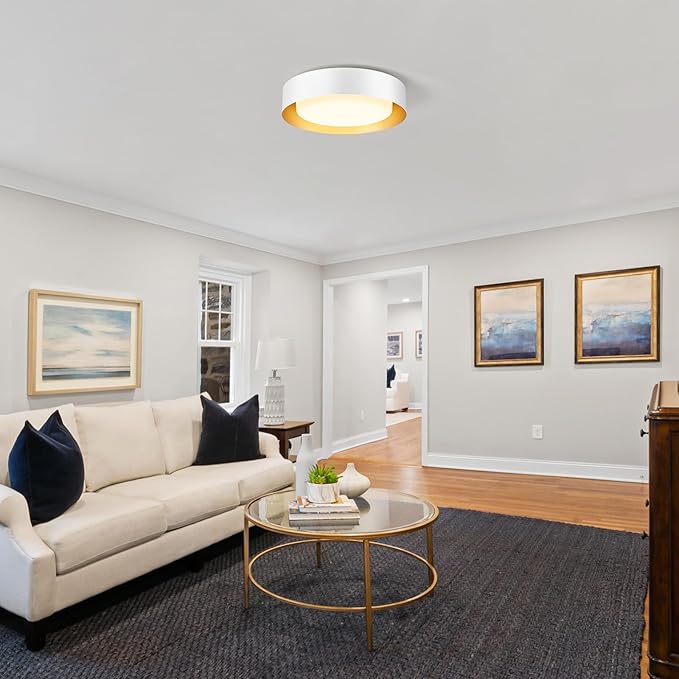 Modern Flush Mount Ceiling Lights,Minimalist 16.5IN Round Close to Ceiling Light Fixtures,White and Gold Metal Ceiling Lighting Lamp for Living Room,Dining Room,Kitchen,Bedroom