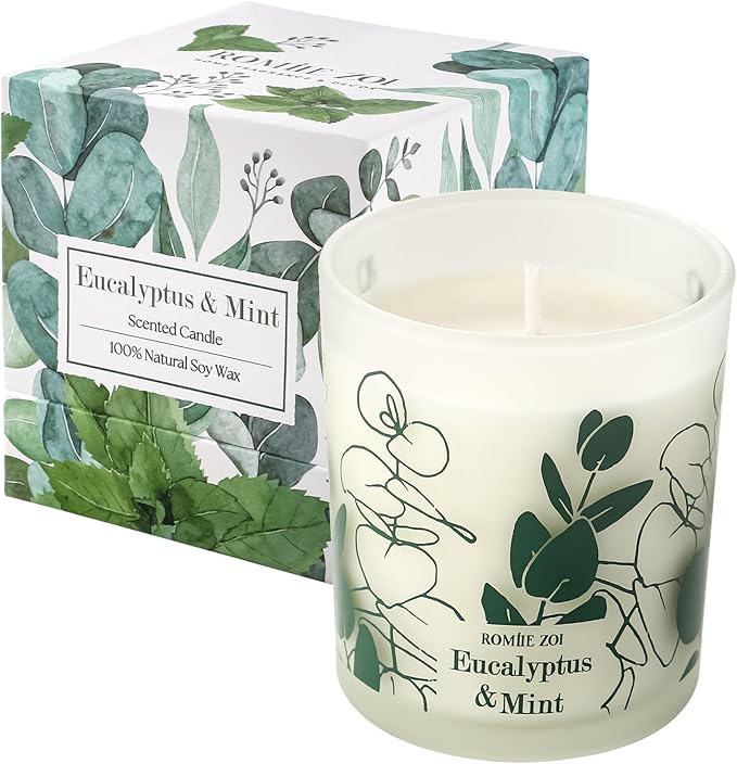 ROMIIE ZOI Scented Candle - Eucalyptus & Mint - 6oz Aromatherapy Soy Wax Jar Candle for Home, Gifts for Women - 170g
