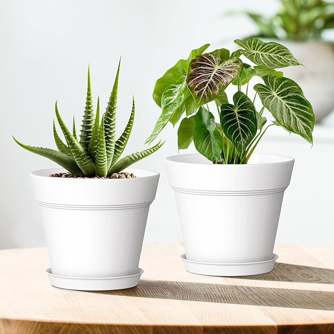 6 Inch Thick Plastic Plant Pots with Drainage Holes and Trays – 6 Pack Nursery Pots for Indoor & Outdoor House Plants, Seedling Starter Planters for Garden Flowers, White