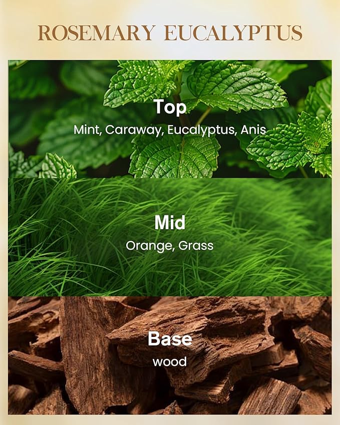 M&SENSE Rosemary Eucalyptus Scented Candle Home Decor, Natural Soy Wax,4.1oz 60 Hours Long Lasting Slow Burning, Aromatherapy Candle for Stress Relief