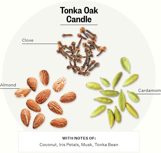 Apotheke 3-Wick Scented Candles for Home, Tonka Oak - 26 oz Soy Wax Jar Candle Gift for Women - Long-Lasting Fragrance with Perfume-Grade Essential Oils - Almond, Cardamom, Tonka Bean & Sandalwood