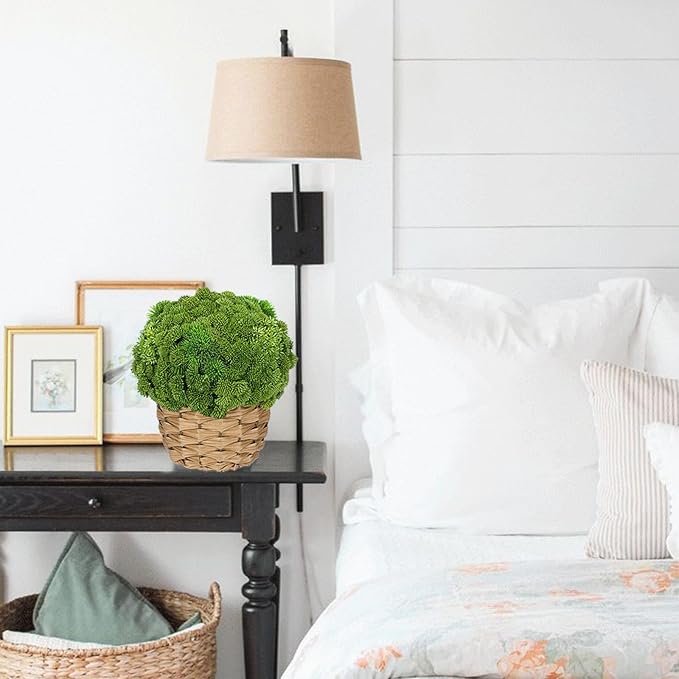 Briful Succulent Plants Artificial Large Fake Succulent Arrangement with Rattan Basket Planter Faux Plants Indoor for Home Office Room Table Centerpiece Shelf Decor