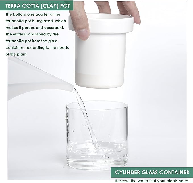 Phoenix Vine 4 Inch Self Watering Planter, White Terracotta Clay Pot with Glass Reservoir for Indoor Plants, Herbs, Flowers, Set of 1, 52-B-E-1