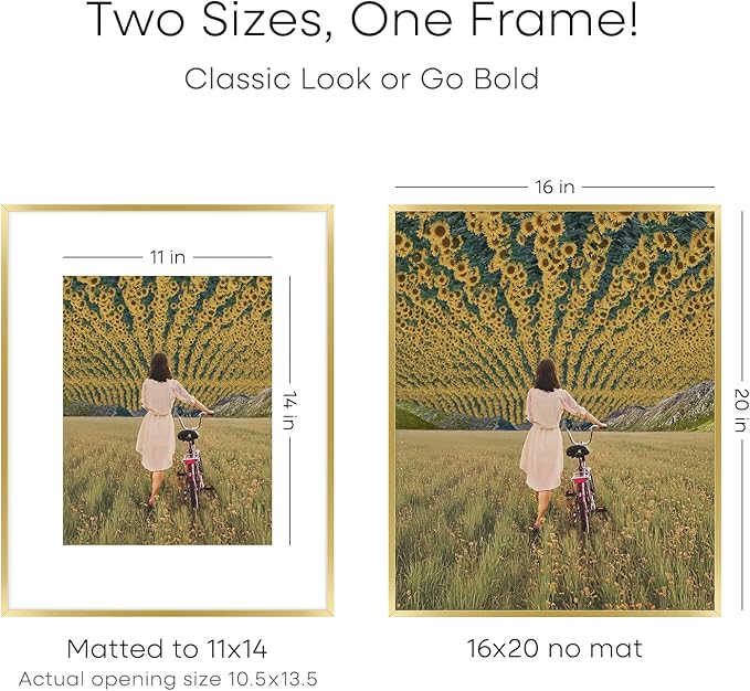 Homeforia 16 x 20 Picture Frame Gold, High End Metal 16x20 Poster Frames with Mat 11x14 Photo, 16 x 20 Gold Frame Matted to 11 by 14 Print, 20x16 Thin Hanging Frame, Tempered Glass, Wall Kit, Set of 2