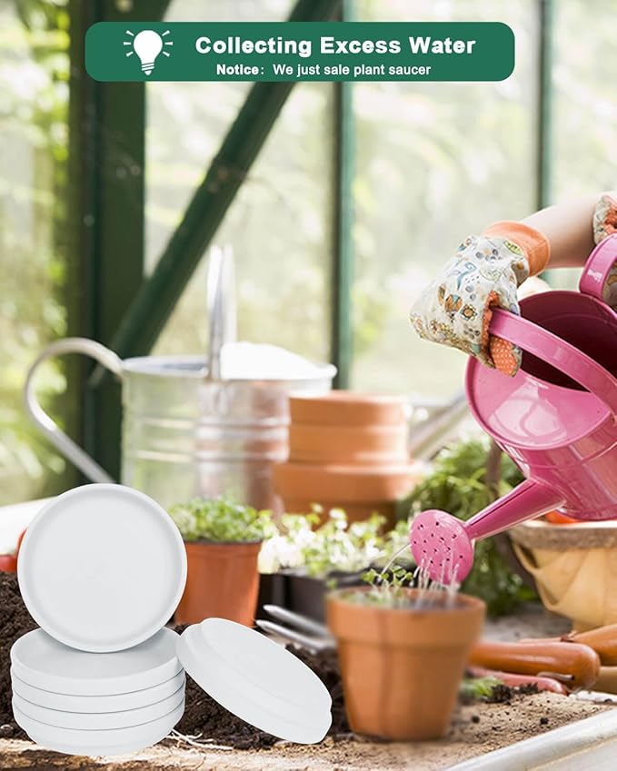 vensovo 3 Inch White Terracotta Plant Saucer Pots Tray - 12 pcs Mini Planter Saucers for Indoor & Outdoor Plants, Small Clay Trays Perfect for 2 Inch 2.5Inch Flower Pot