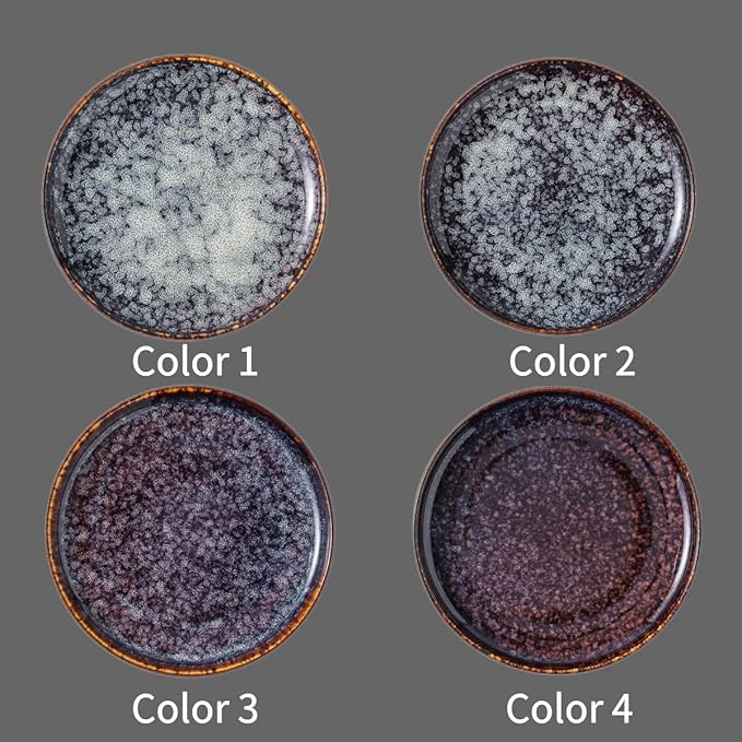 Ceramic dinner plates set of 4, Large Dinnerware Plates & Salad plates for party and wedding, Microwave safe porcelain plates set, 10 Inch