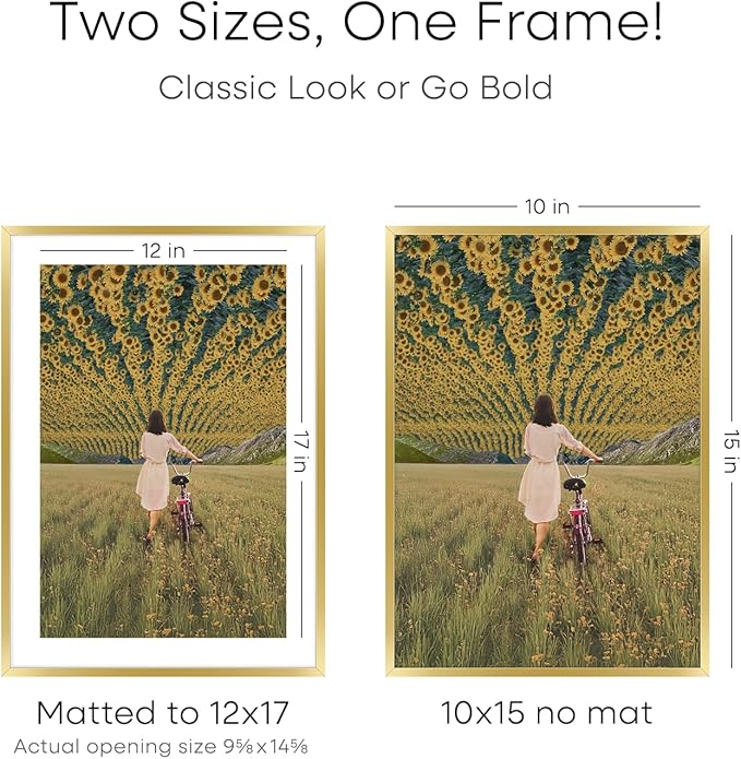 Homeforia 12x17 Picture Frame Gold, High End Metal 12x17 Poster Frames with Mat 10x15 Photo, 12 x 17 Gold Frame Matted to 10 by 15 Print, 17by12 Thin Hanging Frames, Tempered Glass, Wall Kit, Set of 2