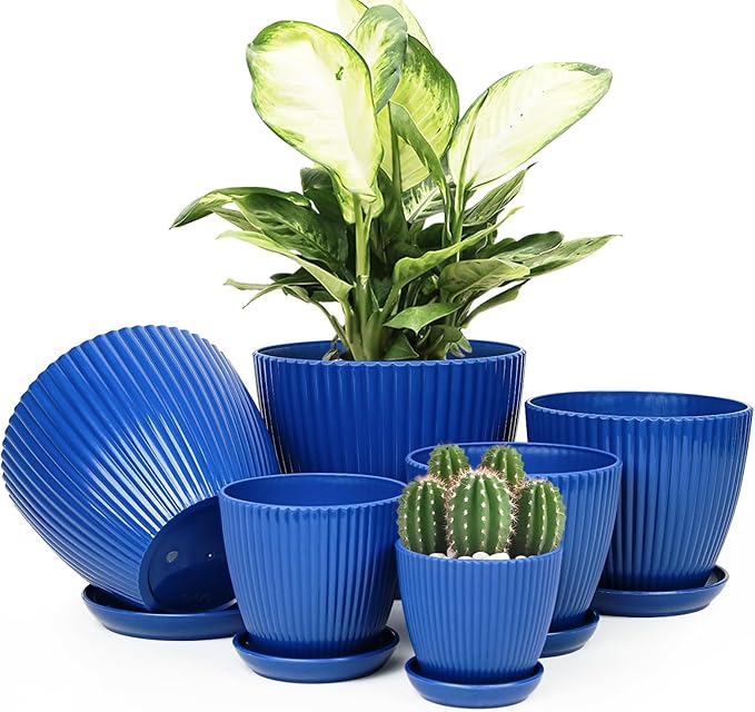 Plant Pots Indoor with Saucers & Drainage - 6 Pack Flower Pots - Plastic Planters for Indoor Planter - 7.5/6.6/5.8/5.0/4.3/3.5 inches Sizes for All Different Types of Plants-Dark Blue