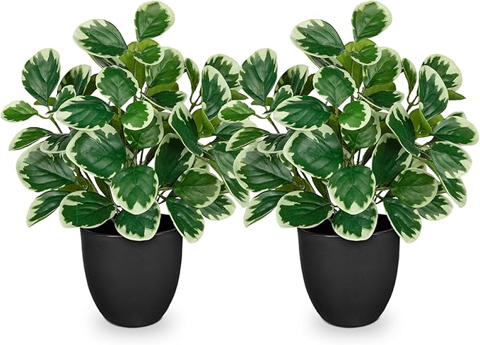 Sets of 2 Artificial Plants Indoor Home Decor, 14.5" Fake Potted Silk Plants for Shelves Living Room Decor, Small Artificial Office Desk Plant in Pots, Faux Peperomia Hope Tropical House Plant