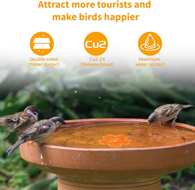 4 Pcs Bird Bath Copper Disk Accessories, Bird Bath Purification Disk for Outdoor Birdbaths Bowl and Garden Fountain