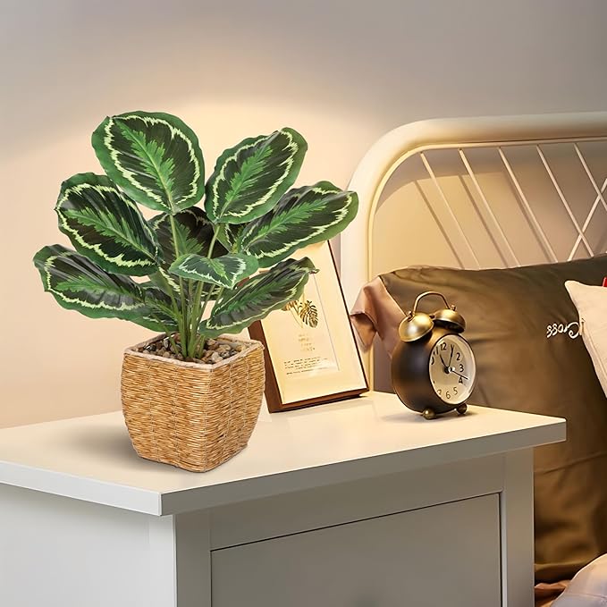 Briful Fake Plants Potted Calathea Medallion Artificial Plants Indoor Realistic Greenery Faux Plants in Square Plastic Rattan Baskets for Home Decor Farmhouse Office Weddings