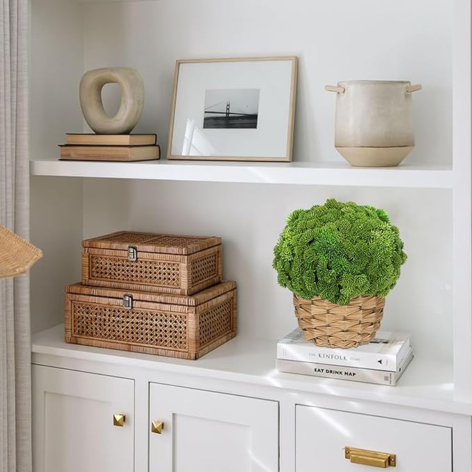 Briful Succulent Plants Artificial Large Fake Succulent Arrangement with Rattan Basket Planter Faux Plants Indoor for Home Office Room Table Centerpiece Shelf Decor