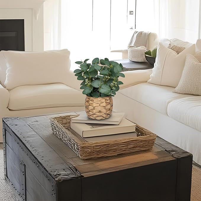 DILATATA Artificial Eucalyptus Stems in Woven Basket Planter, 11" Fake Plant Eucalyptus Leaves with White Seeds Faux Potted Plant Greenery for Table Centerpiece Office Indoor Home Decor