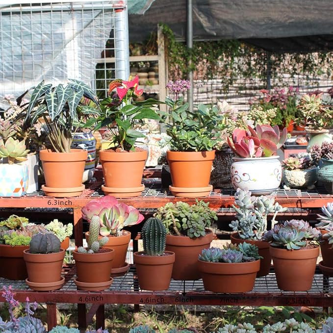Yishang 8 Pcs Large Terracotta Pot Clay Pots 5.5'' Clay Ceramic Pottery Planter Cactus Flower Pots Succulent Pot Drainage Hole- for Indoor/Outdoor Plant Crafts