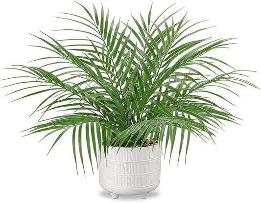 Hollyone Large Artificial Potted Plants Fake Palm Plants 19" Faux Green Plant Plastic Tropical Palm Tree in White Ceramic Pots Bohemian for Home Room Office House Indoor Decoration