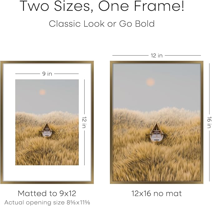 Homeforia 12x16 Picture Frame Bronze, High End Metal 12x16 Brass Poster Frames with Mat 9x12 Photo, 12 x 16 Bronze Frame Matted to 9 by 12 Print, 16by12 Thin Frames, Tempered Glass, Wall Kit, Set of 2