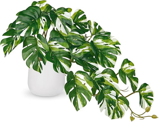 DILATATA Fake Plants Indoor 8 Inch Artificial Monstera Plant in White Ceramic Pot - Faux Potted Tropical Palm Plant for Home Aesthetic Decor Living Room Shelf Office