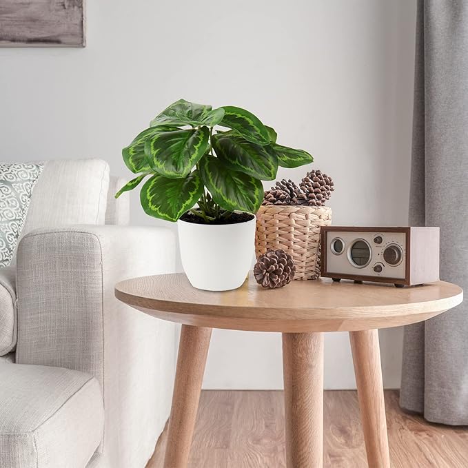 Briful 2 PCS Artificial Potted Alocasia Begonia Calathea Plants Mini Fake Plants in Plastic Pot Small Greenery Faux Plants Indoor for Home Office Desk Room Table Bathroom Bedroom Decorations