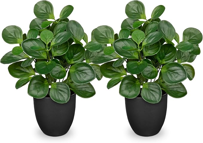 14.5" Artificial Plants Indoor Home Decor, Fake Potted Silk Plants for Shelves Living Room Decor, Small Artificial Office Desk Plants in Pots, Faux Peperomia Hope Tropical House Plant, Sets of 2