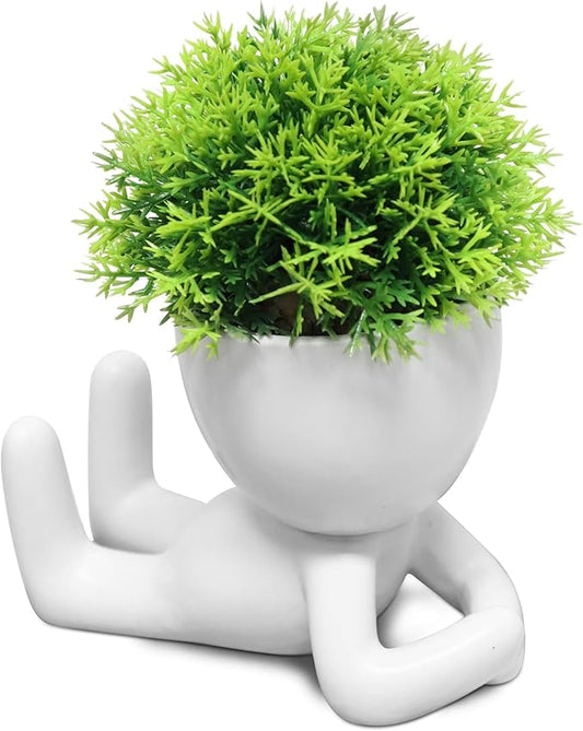 Zerzsy Mini Succulent Plant - Plants Gift - Cute Desktop Decoration Desk Decorations for Women Office -Small Plants Shelf Decor-Cute Cubicle Accessories-Set of 1