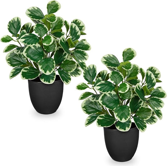 Sets of 2 Artificial Plants Indoor Home Decor, 14.5" Fake Potted Silk Plants for Shelves Living Room Decor, Small Artificial Office Desk Plant in Pots, Faux Peperomia Hope Tropical House Plant