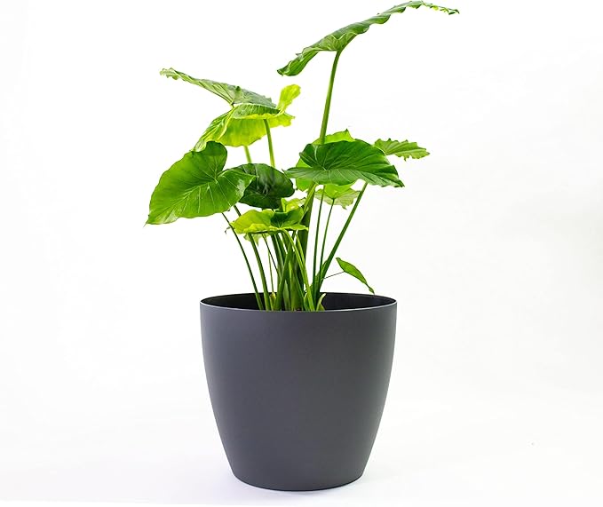 American Essence Memphis Small Round Plastic Planter - 13 in x 13 in x 11.6 in - Charcoal Metallic